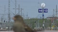 Modern trains Footage