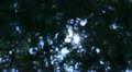 video clip 10912597