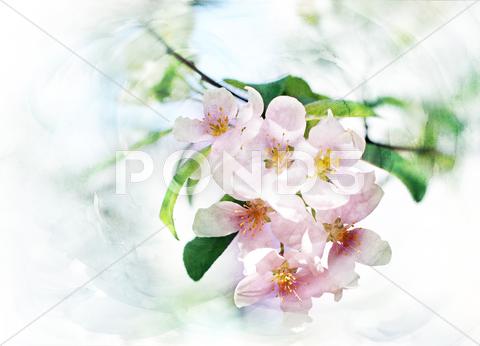 Stock Illustration of spring trees blossom watercolor illustration