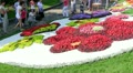 video clip 11866117