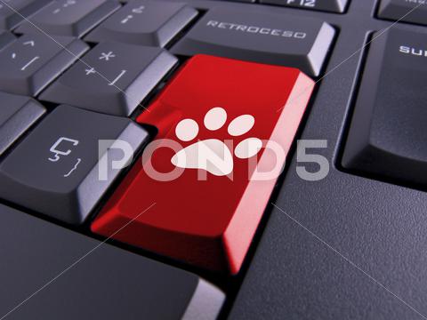 Stock Illustration of keyboard