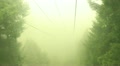 video clip 12009305