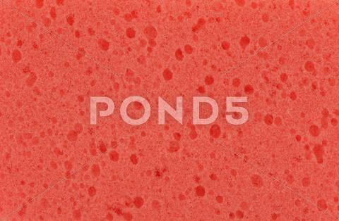Stock photo of Sponge Texture
