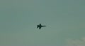 F/A-18 Hornet demonstration Video