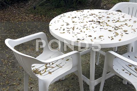 Stock photo of fall table
