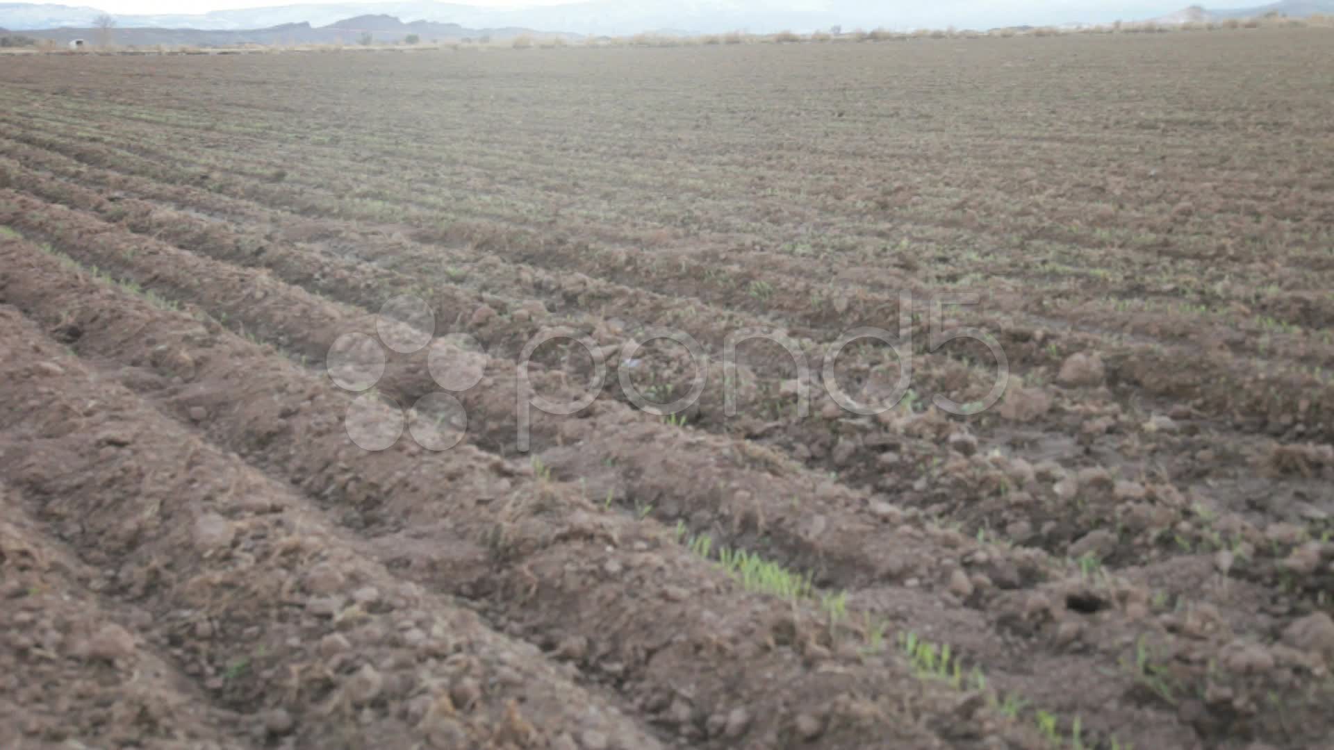 Barren field 4 High Resolution Hi Res Video 12336261