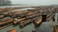 Fraser River Lumber. Wide shot. Video