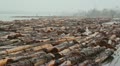 Fraser River Lumber. Wide shot. Video