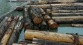 Fraser River Lumber. Video
