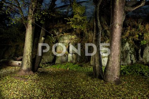 Stock photo of autumn forest in night-time by flash lightning