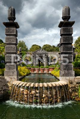 Stock photo of garden flower pond ornamental