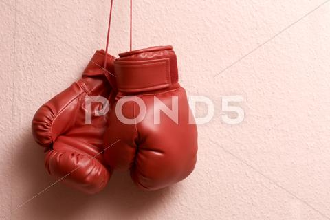 Stock photo of boxing gloves hanging