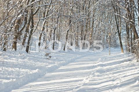 Stock photo of snowy lane