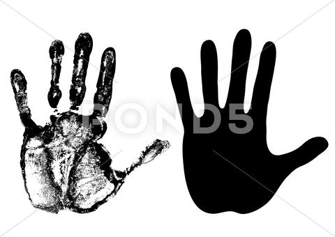 Stock Illustration of palm