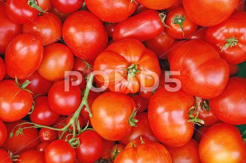 Stock photo of Fresh tomatoes
