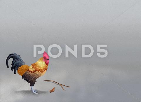 Stock Illustration of Beautiful Chicken Standing on Grey Sand with Copyspace