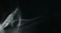 Smoke White LM08 Loop Video