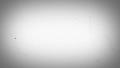 Old Film White 08 Loop VIntage Video