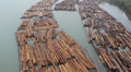 Fraser river lumber. Video