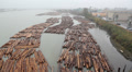 Fraser River Lumber. Video