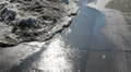 Melting snow. Footage