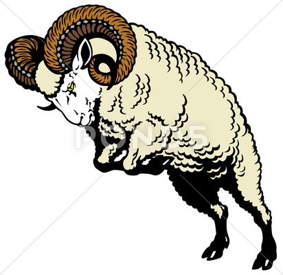 Stock Illustration of ram sheep