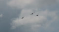 3x Ikarus C42b airshow Video