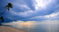 Sandy Beach with Coconut Palms and Impressive Sky. Video