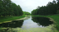Lake, pond. Pushkin. Catherine Park. Tsarskoye Selo. 4K. Video