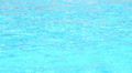 Sparkling Splashes of Water in Swimming Pool. Speed up. Video