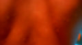 Young Wet Sexy Muscular Man Swimming in the Pool Video