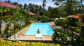 Tanned Sexy Man Swimming in the Outdoor Pool. Beautiful Green Landscape. Slow Video