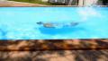 Man Diving in Private Swimming Pool. Blue Azure Water in Luxury Villa. Thailand. Video
