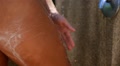Beautiful Wet Sexual Woman Legs in Shower. Slow Motion. Video