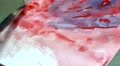 Painting gouache and watercolor class Video