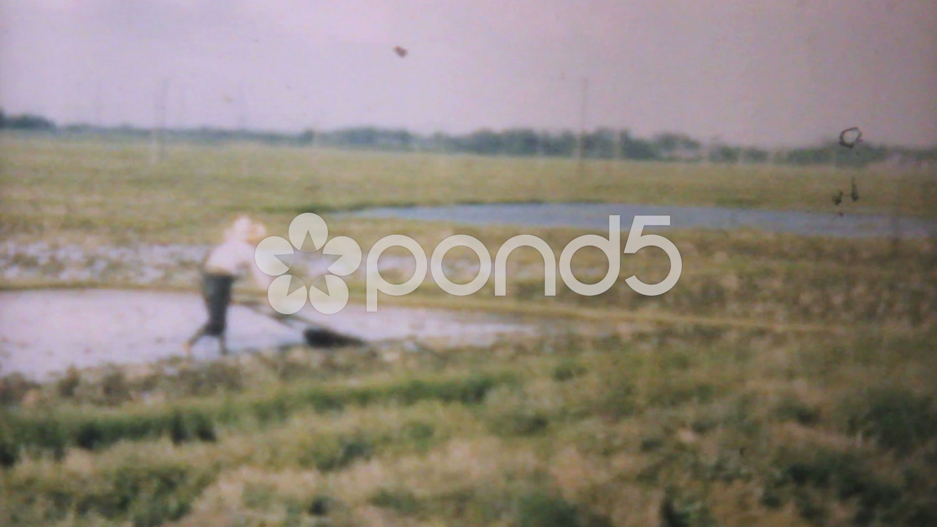 Rice Farming In Rural Japan-1950 Vintage 8mm Film - Fusion Footage