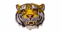 Tiger head. Stop motion animation. Footage